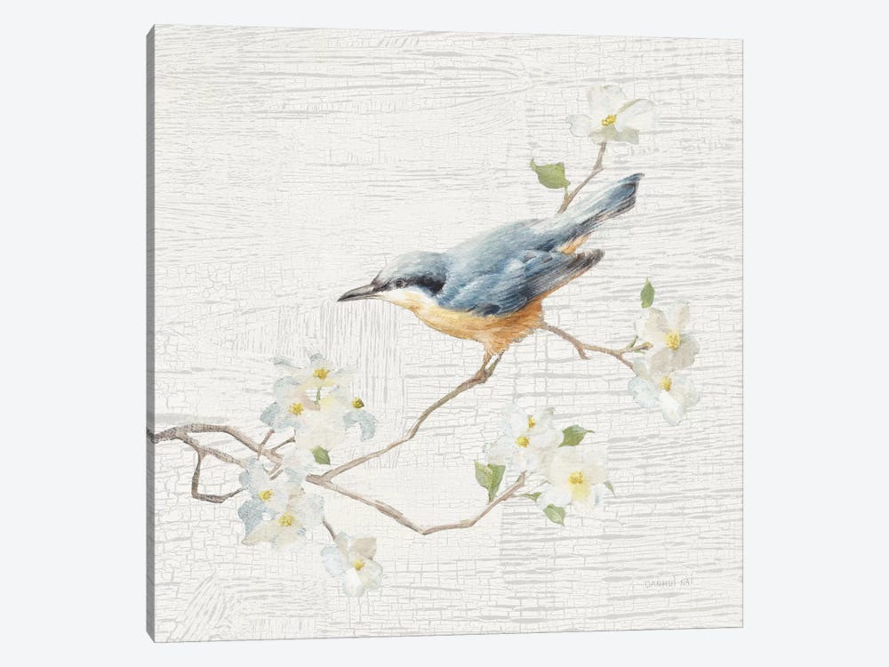 Vintage Nuthatch by Danhui Nai 1-piece Canvas Print