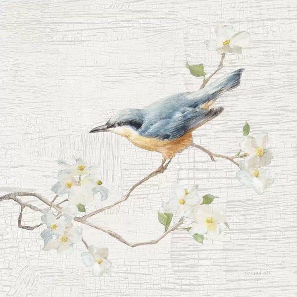 Danhui Nai: Vintage Nuthatch by Danhui Nai