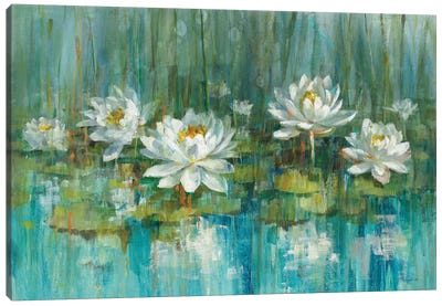Water Lily Pond Canvas Art Print - Best Selling Floral Art
