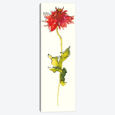 Peony Poppies III Canvas Print #WAC5945} by Shirley Novak Canvas Wall Art