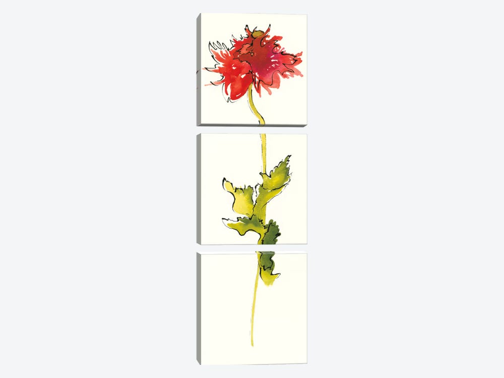 Peony Poppies III 3-piece Canvas Art Print