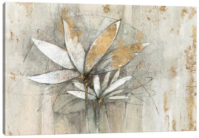 Golden Windflowers Canvas Art Print