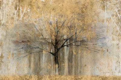 Abstract Floral & Botanical