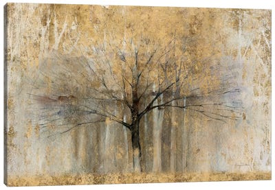 Open Arms Of Gold I Canvas Art Print - Tree Art