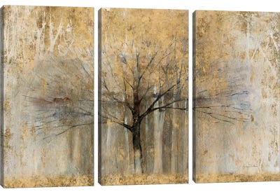 Open Arms Of Gold I Canvas Art Print - 3-Piece Tree Art