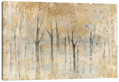 Season's End Canvas Art Print - Abstract Landscapes Art