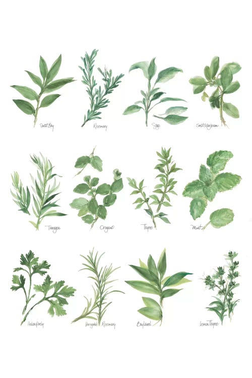 Herb Chart I