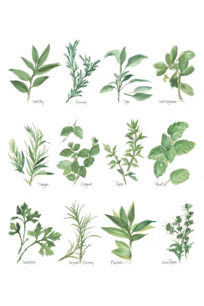Gardening: Herb Chart I by Chris Paschke