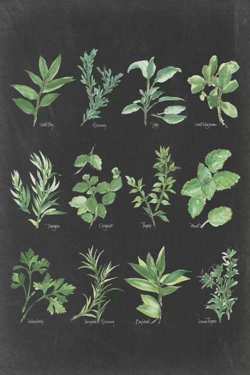 Herb Chart II