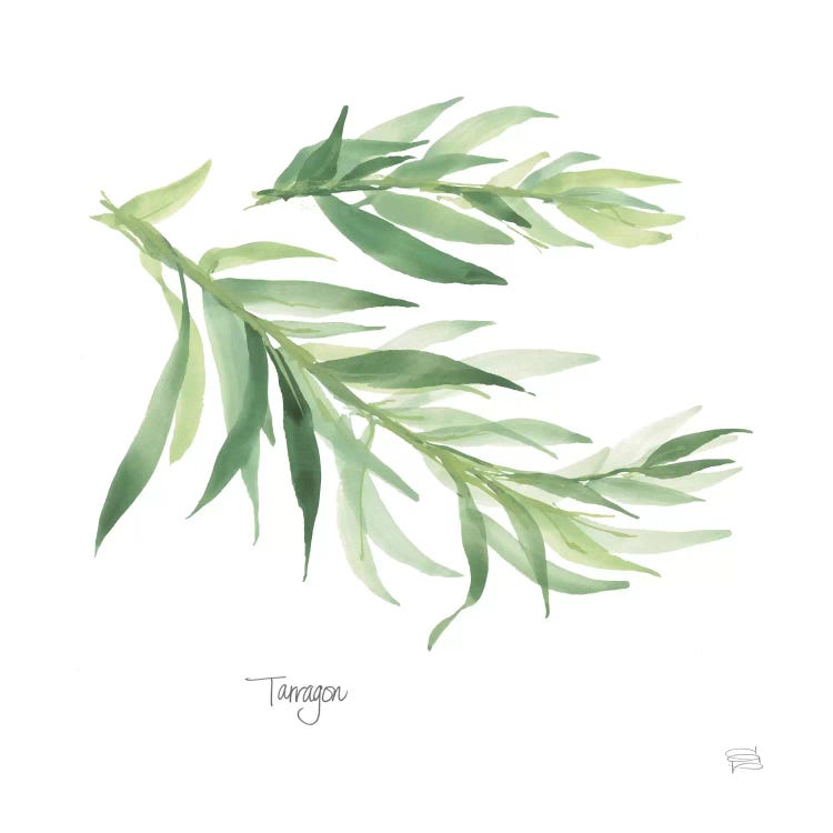 Tarragon by Chris Paschke wall art