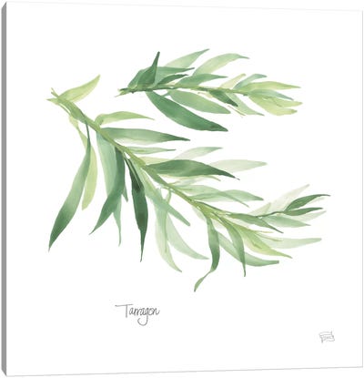 Tarragon Canvas Art Print - Herb Art