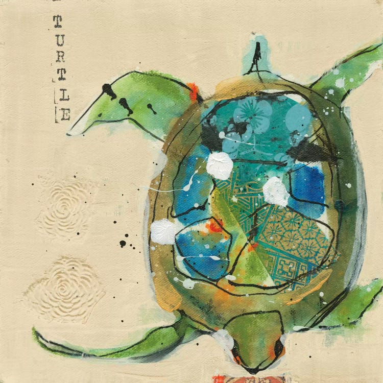 Chentes Turtle by Kellie Day wall art