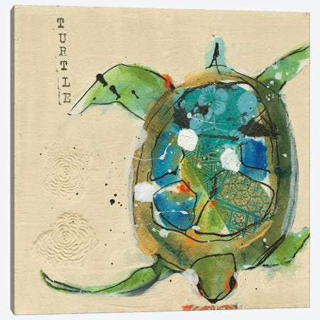 Chentes Turtle Canvas Print #WAC5972} by Kellie Day Canvas Artwork