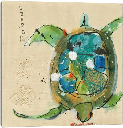Chentes Turtle Canvas Art Print - Kellie Day