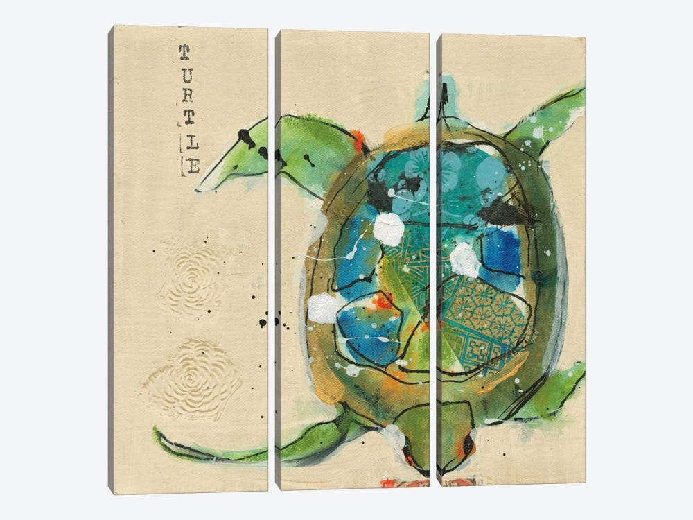 Chentes Turtle by Kellie Day 3-piece Canvas Art Print