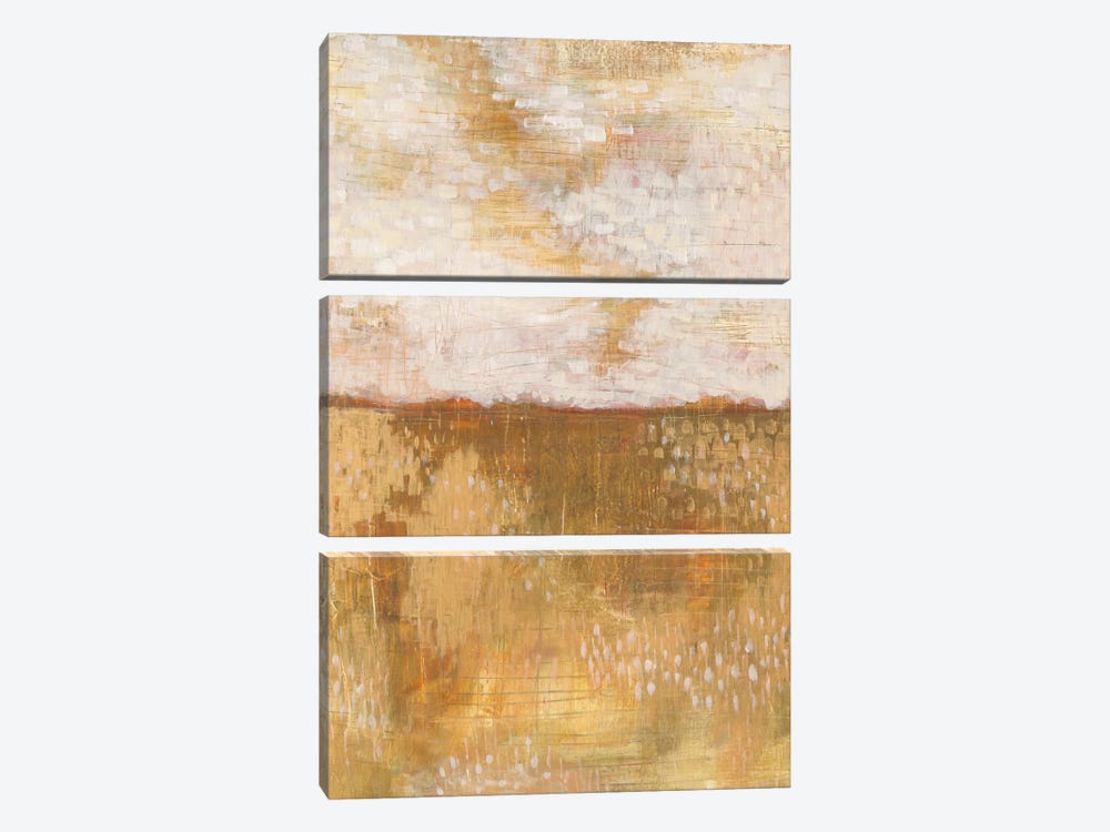 Amber Horizon by Melissa Averinos 3-piece Canvas Print