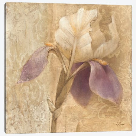 Brocade Iris Canvas Print #WAC59} by Albena Hristova Canvas Artwork
