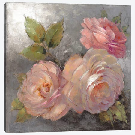 Roses On Gray II Canvas Print #WAC6006} by Peter McGowan Art Print