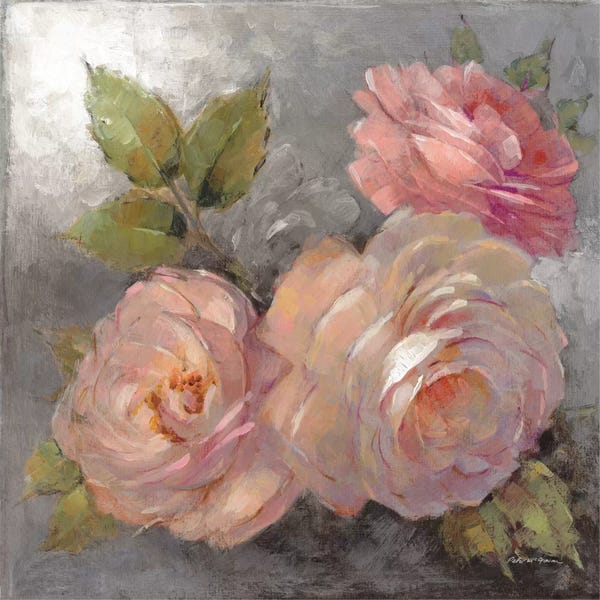 Roses: Roses On Gray II by Peter McGowan