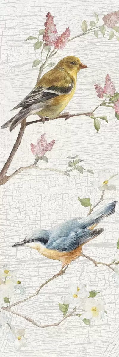 Vintage Birds Panel I by Danhui Nai framed canvas print