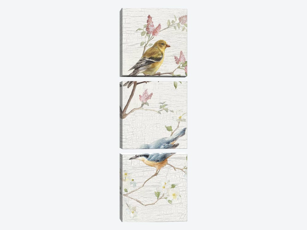 Vintage Birds Panel I by Danhui Nai 3-piece Canvas Print