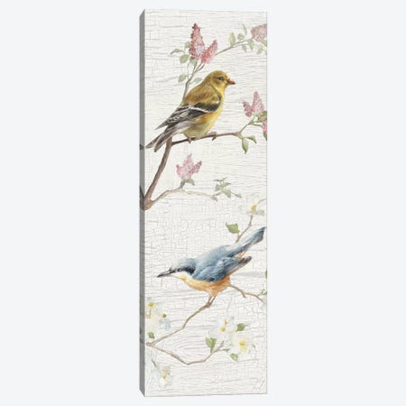 Vintage Birds Panel I Canvas Print #WAC6032} by Danhui Nai Art Print