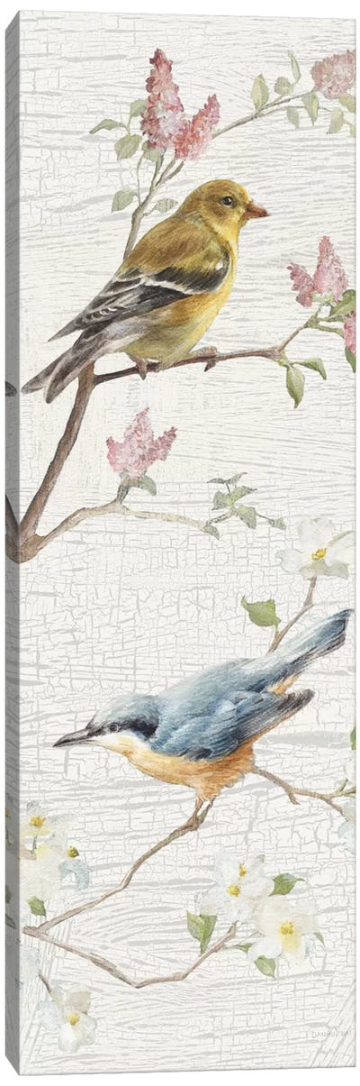 Vintage Birds Panel I Canvas Art Print - Danhui Nai