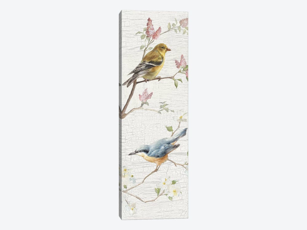 Vintage Birds Panel I by Danhui Nai 1-piece Canvas Print