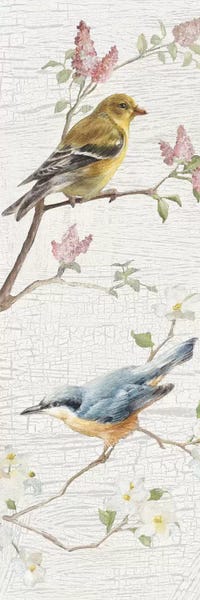 Danhui Nai: Vintage Birds Panel I by Danhui Nai