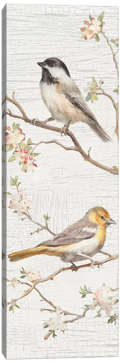 Vintage Birds Panel II Canvas Art Print - Danhui Nai