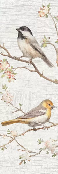 Danhui Nai: Vintage Birds Panel II by Danhui Nai