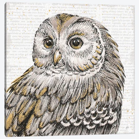 Beautiful Owls I Canvas Print #WAC6038} by Daphne Brissonnet Canvas Art Print