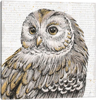 Beautiful Owls I Canvas Art Print - Owl Art