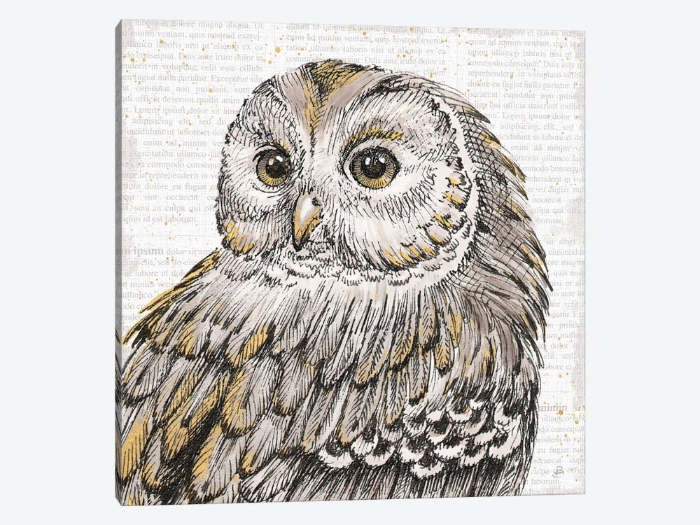 Beautiful Owls I by Daphne Brissonnet 1-piece Art Print