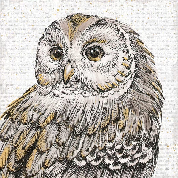 Wisdom: Beautiful Owls I by Daphne Brissonnet