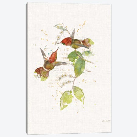 Colorful Hummingbirds II Canvas Print #WAC6095} by Katie Pertiet Canvas Wall Art