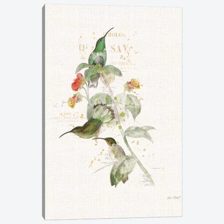 Colorful Hummingbirds III Canvas Print #WAC6096} by Katie Pertiet Canvas Artwork