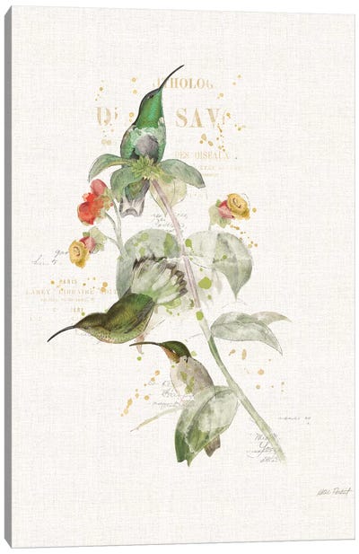 Colorful Hummingbirds III Canvas Art Print - Katie Pertiet