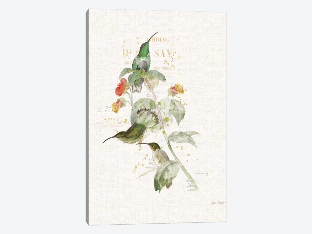 Colorful Hummingbirds III by Katie Pertiet 1-piece Canvas Art Print