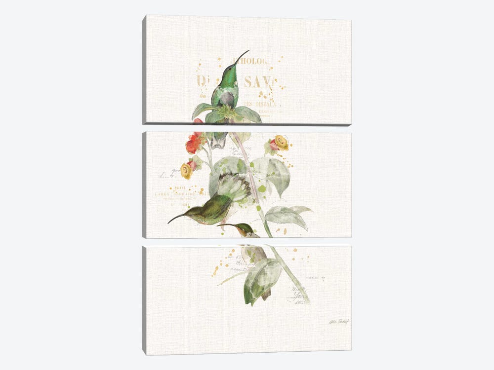 Colorful Hummingbirds III 3-piece Canvas Art Print