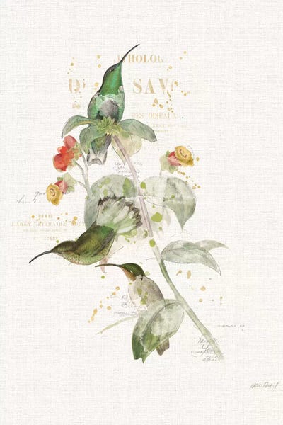 Hummingbirds: Colorful Hummingbirds III by Katie Pertiet