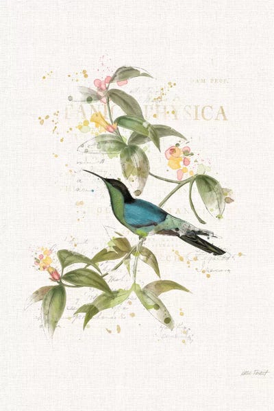 Hummingbirds: Colorful Hummingbirds IV by Katie Pertiet