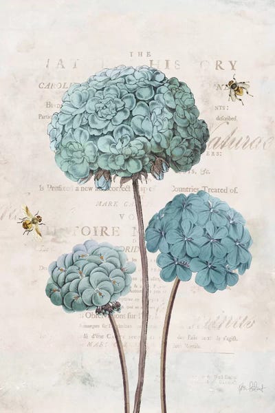 Katie Pertiet: Geranium Study I by Katie Pertiet