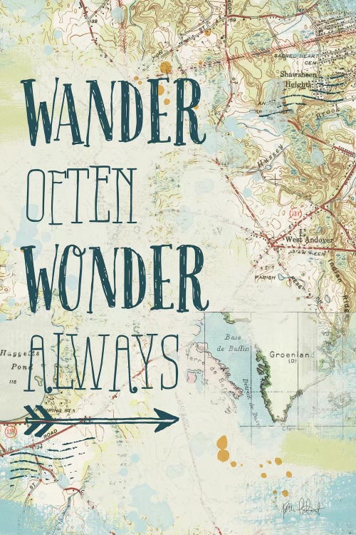 Map Sentiments V by Katie Pertiet wall art