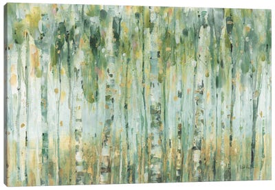 The Forest I Canvas Art Print - Aspen and Birch Trees