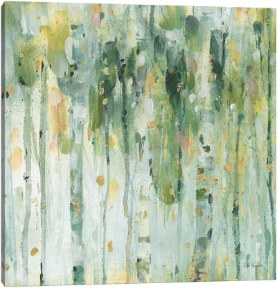The Forest II Canvas Art Print - Aspen and Birch Trees