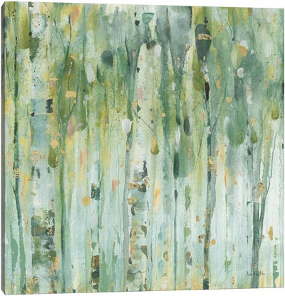 The Forest III Canvas Art Print - Aspen and Birch Trees