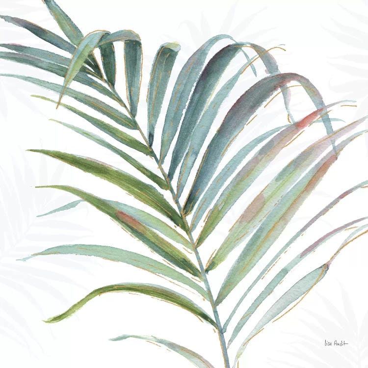 Tropical Blush V by Lisa Audit wall art