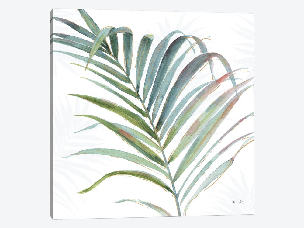 Tropical Blush V by Lisa Audit 1-piece Art Print