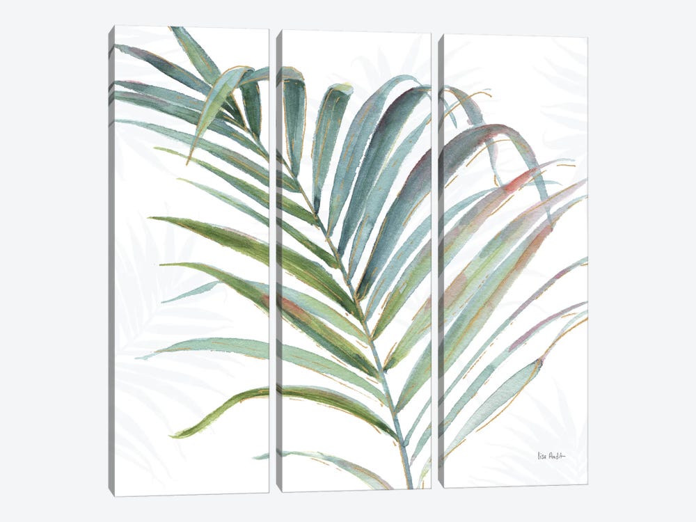 Tropical Blush V by Lisa Audit 3-piece Art Print
